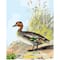 8" x 10" Vintage Duck Paint-by-Number Kit with Wood Display Hanger by Artist's Loft®